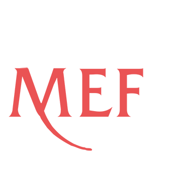 MEF Κατασκευαστική